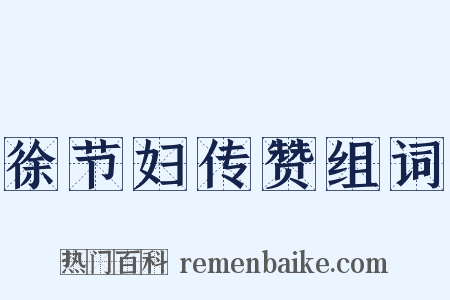 徐节妇传赞组词是什么意思的图片